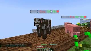 Hypixel Skyblock Stranded Mode Pt 5 [upl. by Ahsin499]