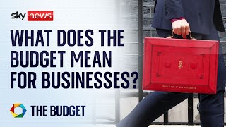 How will the budget affect businesses  Budget 2024 [upl. by Ashbey631]