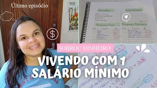 VIVENDO COM UM SALÁRIO MÍNIMO  semana 3 e 4 [upl. by Nitsug]