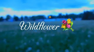 Wildflower cover 💐 [upl. by Roath263]