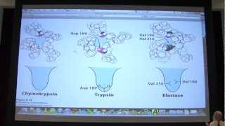 12 Biochemistry Catalytic Mechanisms I Lecture for Kevin Aherns BB 450550 [upl. by Ecinaj]