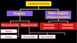 Classification Of Carbohydrates [upl. by Gerianne143]