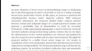 Discriminative Pattern Mining for Breast Cancer Histopathology Image Classification via Fully Convol [upl. by Yatnod544]