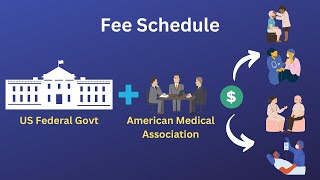 What is Fee Schedule Allowed AmountApproved Amount [upl. by Eiruam]