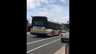 Thebus Honolulu Bus 217 Nova Bus LFS Route 444 Village ParkRoyal Kunia [upl. by Adnoloy]