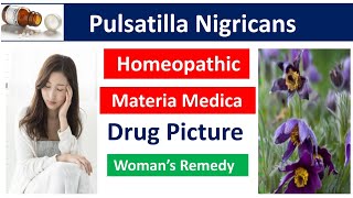 Pulsatilla Nigricans Drug Picture  Materia Medica bhms materiamedica homeopathy pulsatilla [upl. by Gnad]