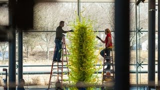 Chihuly Fern Green Tower Time Lapse [upl. by Airliah222]