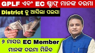 GPLF and EC Staff Salary Latest Update  ୬ ମାସର ଦରମା ମିଲିବ  ଆଉ କେବେ ବଢିବ ଦରମା [upl. by Bruell]