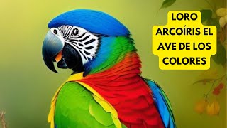 🦜DESCUBRE AL LORO ARCOIRIS EL AVE MÁS FASCINANTE DEL PLANETA [upl. by Litha]