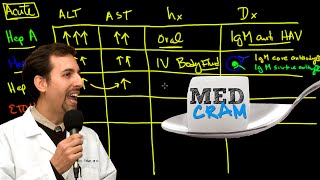 Liver Diseases Explained Clearly Acute vs Chronic Hepatic Diseases [upl. by Dnalram]