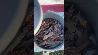 How To Make Your Own Shag Bark Hickory Syrup Over A Fire Pit [upl. by Namqul]