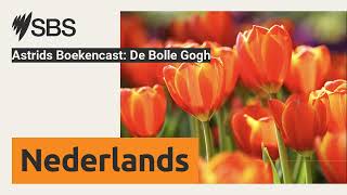 Astrids Boekencast De Bolle Gogh  SBS Dutch  SBS Nederlands [upl. by Simara]