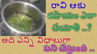 raavi aaku kashayam preparation  raavi aaku uses benefits and side effects  state tv [upl. by Guise832]