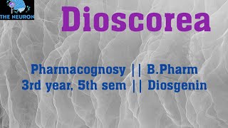 Dioscorea  Pharmacognosy  BPharm 5th sem  UNIT2 royalpatel [upl. by Anelem]