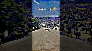 yadav ji 🤩 yadav ji ka gana  yadav status  yadav yadavji  yadav  ahiran  yadav brand shorts [upl. by Wolenik]