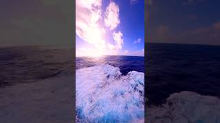 THE SEA IN THE DAY VS THE NIGHT [upl. by Renfred]