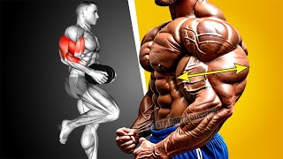 6 Best Exercise for Biceps and Triceps at Gym [upl. by Alpert899]