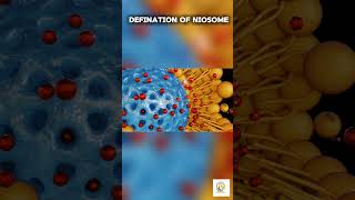 Definition of Niosomes  By Prof Ashish Baldi [upl. by Ahcsrop655]