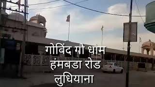 Govind gau Dhaam Hambran road Ludhiana [upl. by Paynter]