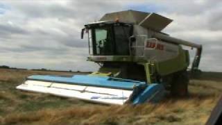 Shelbourne RSD Stripper Header Harvesting Grass Seed [upl. by Odlonyer638]