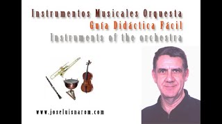 Instrumentos Musicales Orquesta  Guía Didáctica Fácil  Instruments of the orchestra [upl. by Dahlstrom580]