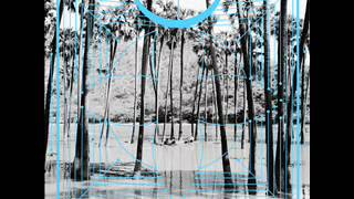 Four Tet  Lion [upl. by Knox]