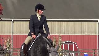 Kathleen Hart amp Jacks Killinick Robin Waredaca Classic 3 Day amp Horse Trials 23 [upl. by Korman455]