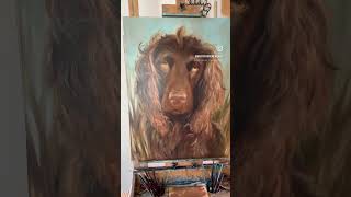 Boykin Spaniel Pet Portrait Oversized Painting [upl. by Abihsot]