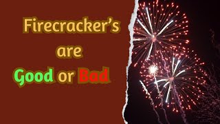 Firecrackers are good or bad  Delhi air pollution [upl. by Tnahsin]