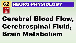 Ch62 Physiology Guyton  Cerebral Blood Flow  Cerebrospinal Fluid  Brain Metabolism [upl. by Oirtemed]