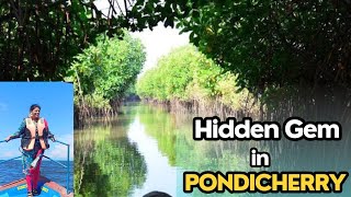 Secrets of Pondicherry Mangrove Forest Fishing Harbour amp more Pondicherry Tourist Places Tamil [upl. by Leynwad669]