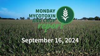 Monday Mycotoxin and Crop Report for September 16 2024 [upl. by Lamori]