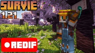 Live Minecraft FR  Survie Serveur Éternia jour 31 740  Gros farm de ressources [upl. by Oluap88]