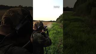 Two Friends on Roebuck hunt hunting deer roebuck deerhunting [upl. by Gualterio]