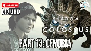 SHADOW OF THE COLOSSUS  Part 13 Cenobia [upl. by Adiaros324]