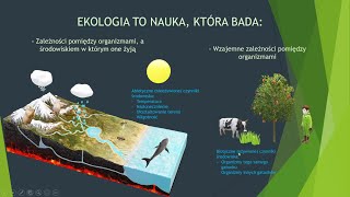 Czym zajmuje się ekologia Organizm a środowisko biologia szkoła podstawowa [upl. by Margy]