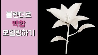 ep10 부부블렌더과외  백합 모델링 Curve tapering Skin modifier [upl. by Libove]