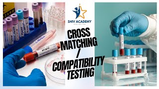 Cross Matching Blood ProcedureCompatibility Testing biology mltclasses dmlt microbiology blood [upl. by Ssitruc]