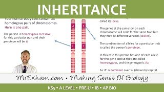 AUTOSOMAL LINKAGE and DIHYBRID INHERITANCE Alevel Biology inheritance genetic crosses and ratios [upl. by Gisella]