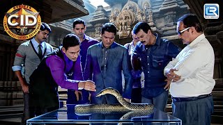 CID के सामने आई एक Scary Snake की सच्चाई  New Episode  Latest Episode  BEST OF CID [upl. by Aineles]