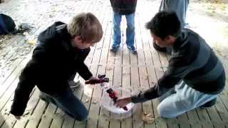 Toronto Beyblade Tournament  DIR EN BEY  High Park [upl. by Einwahr]