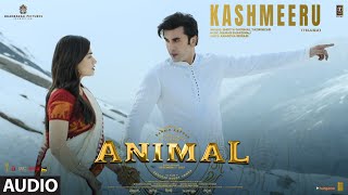 ANIMALKashmeeru Audio  Ranbir KRashmikaAnil KBobby D Sandeep V Shreya GYazin N  Bhushan K [upl. by Ilatfan]