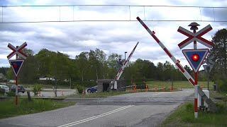 Spoorwegovergang Rønde DK  Railroad crossing  Jernbaneoverskæring [upl. by Aerdnna249]