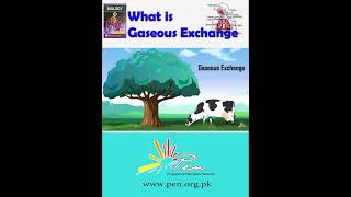 What is Gaseous Exchange I learn about gaseous exchange Biology penacademy [upl. by Evatsug650]