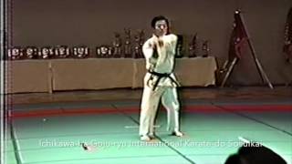 Seipai Segment Performed by Hattori Fusaaki Sensei [upl. by Daney]