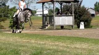 Novice Test A  MacNairs Country Acres [upl. by Ahsiekahs]