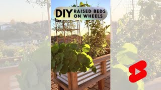 DIY Raised Bed Garden On Wheels  Short [upl. by Adnawed]