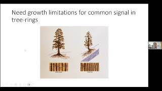 Kessler  TreeRing Dating Techniques for the Desert Basin of Southern and Central Arizona [upl. by Ylecic]