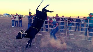 RODEO TIME  That was a CLOSE CALL [upl. by Sam]