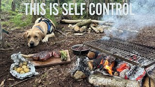 Solo overnight woodland camp with my dog  Bushcraft steak and British MRE [upl. by Weidman823]